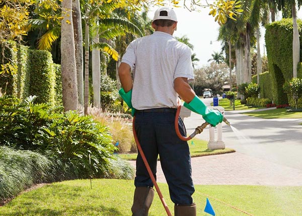 About Export PA Pest Control